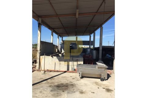 Farm i Palmela, Setubal, Palmela - € 790.000 | Ref: PB201901 - foto 16