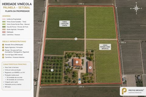 Farm i Palmela, Setubal, Palmela - € 790.000 | Ref: PB201901 - foto 19