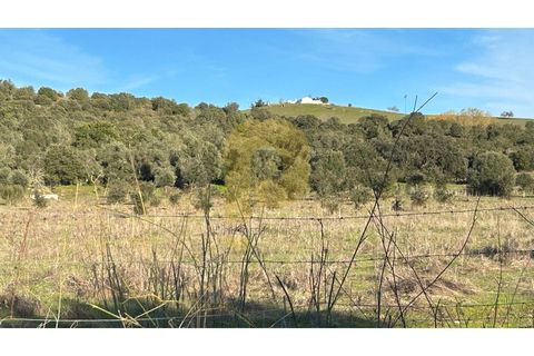 Herregård i Arraiolos, Evora, Arraiolos - € 350 000 | Ref: PB2025480 - foto 5