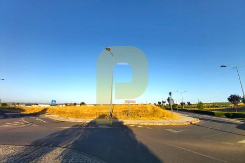 Grond in Castelo de Vide, Portalegre, Castelo de Vide - € 295.000 | Ref: PB2025462 - foto 5