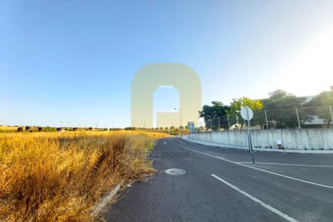 Grond in Castelo de Vide, Portalegre, Castelo de Vide - € 295.000 | Ref: PB2025462 - foto 10