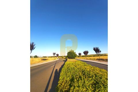 Grond in Castelo de Vide, Portalegre, Castelo de Vide - € 295.000 | Ref: PB2025462 - foto 17