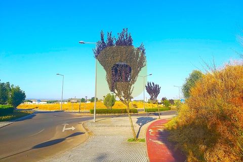 Grond in Castelo de Vide, Portalegre, Castelo de Vide - € 295.000 | Ref: PB2025462 - foto 18