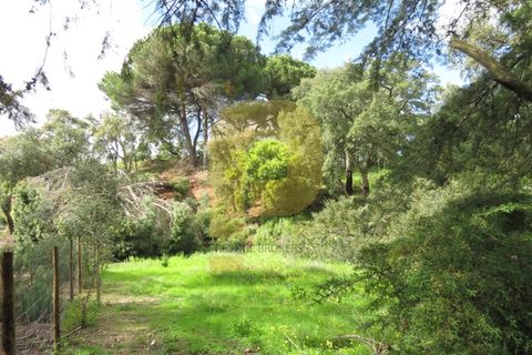 Helårsgrund i Palmela, Setubal, Palmela - € 650.000 | Ref: PB2026493 - foto 3