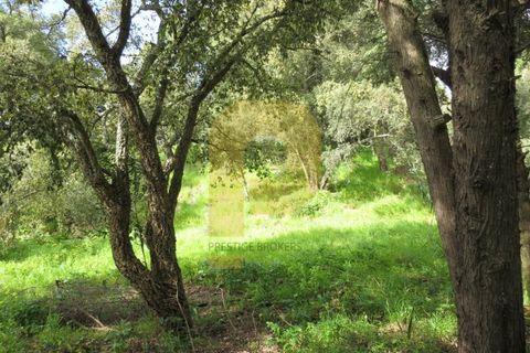 Helårsgrund i Palmela, Setubal, Palmela - € 650.000 | Ref: PB2026493 - foto 6