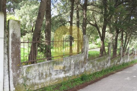 Helårsgrund i Palmela, Setubal, Palmela - € 650.000 | Ref: PB2026493 - foto 7
