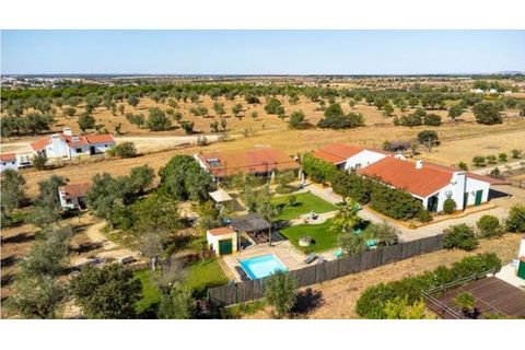 Gård i Arraiolos, Evora, Arraiolos - € 780 000 | Ref: PB2026496 - foto 42