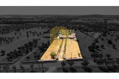 Gård i Arraiolos, Evora, Arraiolos - € 780 000 | Ref: PB2026496 - foto 43