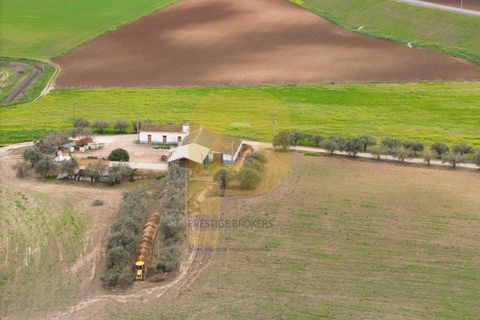 Helårsgrund i Elvas, Portalegre, Elvas - € 4.020.000 | Ref: PB2025479 - foto 2