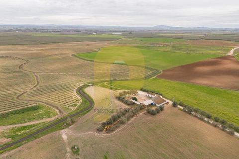 Helårsgrund i Elvas, Portalegre, Elvas - € 4.020.000 | Ref: PB2025479 - foto 8