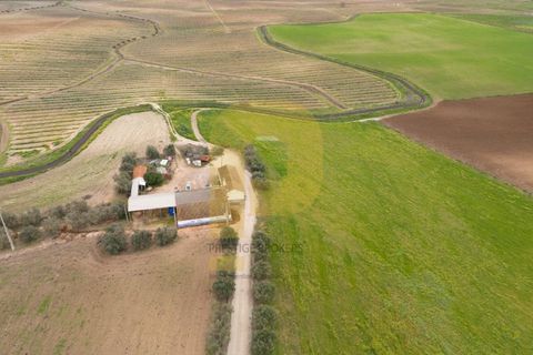 Helårsgrund i Elvas, Portalegre, Elvas - € 4.020.000 | Ref: PB2025479 - foto 10
