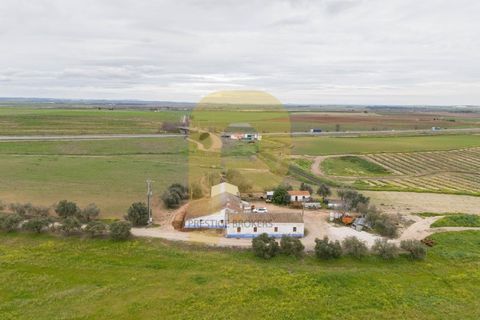 Helårsgrund i Elvas, Portalegre, Elvas - € 4.020.000 | Ref: PB2025479 - foto 12