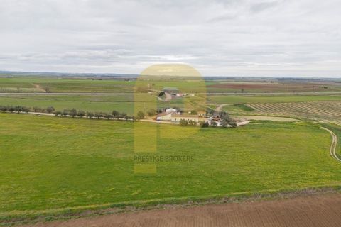 Helårsgrund i Elvas, Portalegre, Elvas - € 4.020.000 | Ref: PB2025479 - foto 15