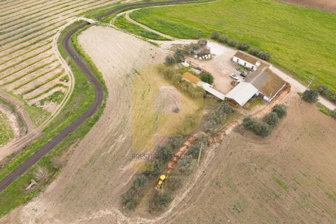 Helårsgrund i Elvas, Portalegre, Elvas - € 4.020.000 | Ref: PB2025479 - foto 17