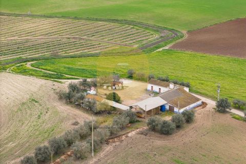 Helårsgrund i Elvas, Portalegre, Elvas - € 4.020.000 | Ref: PB2025479 - foto 18
