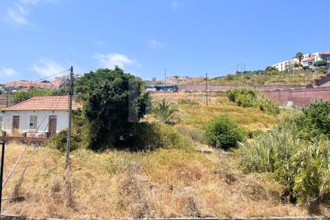 Lejlighed i Caniço, Madeira, Caniço - € 305.000 | Ref: FX833SC-1 - foto 19