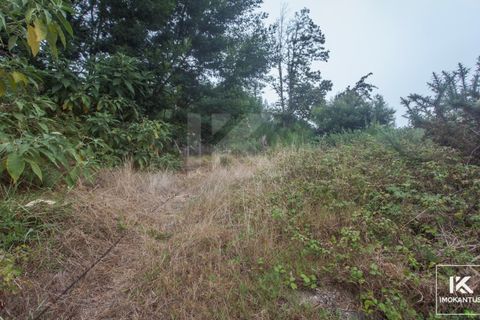 Helårsgrund i Camacha, Madeira, Camacha - € 63.000 | Ref: IK524SC-1 - foto 1