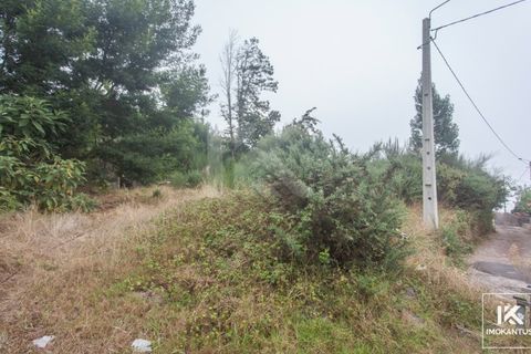 Helårsgrund i Camacha, Madeira, Camacha - € 63.000 | Ref: IK524SC-1 - foto 2