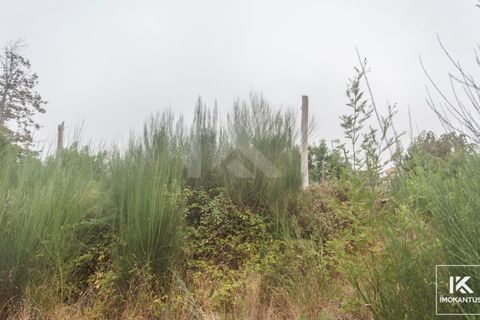 Helårsgrund i Camacha, Madeira, Camacha - € 63.000 | Ref: IK524SC-1 - foto 3