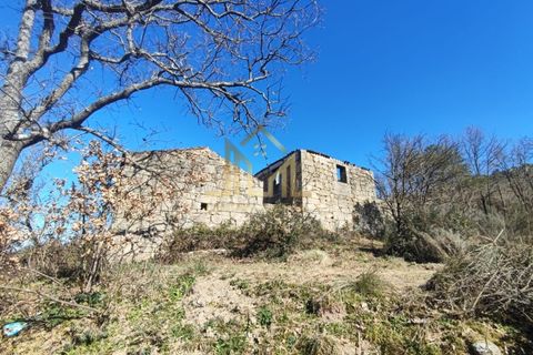 Farm i Celorico da Beira, Guarda, Celorico da Beira - € 88.000 | Ref: FIN_15 - foto 1