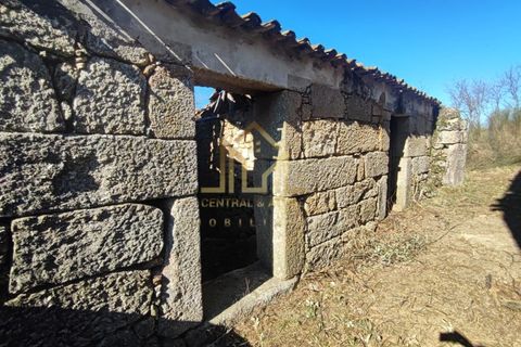 Farm i Celorico da Beira, Guarda, Celorico da Beira - € 88.000 | Ref: FIN_15 - foto 2