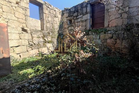 Farm i Celorico da Beira, Guarda, Celorico da Beira - € 88.000 | Ref: FIN_15 - foto 3