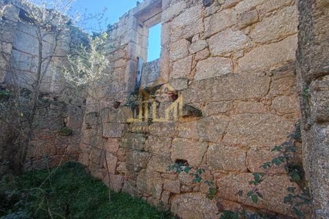 Farm i Celorico da Beira, Guarda, Celorico da Beira - € 88.000 | Ref: FIN_15 - foto 4