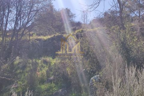 Farm i Celorico da Beira, Guarda, Celorico da Beira - € 88.000 | Ref: FIN_15 - foto 5