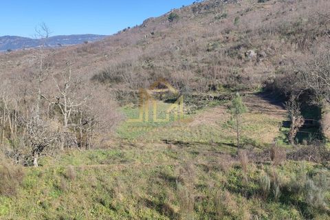 Farm i Celorico da Beira, Guarda, Celorico da Beira - € 88.000 | Ref: FIN_15 - foto 6