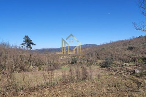 Farm i Celorico da Beira, Guarda, Celorico da Beira - € 88.000 | Ref: FIN_15 - foto 7