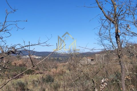 Farm i Celorico da Beira, Guarda, Celorico da Beira - € 88.000 | Ref: FIN_15 - foto 8