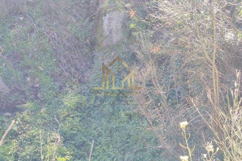 Farm i Celorico da Beira, Guarda, Celorico da Beira - € 88.000 | Ref: FIN_15 - foto 9