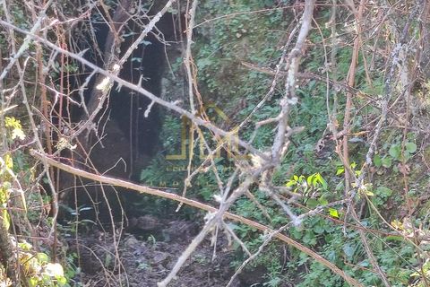 Farm i Celorico da Beira, Guarda, Celorico da Beira - € 88.000 | Ref: FIN_15 - foto 10