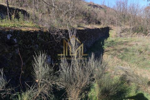 Farm i Celorico da Beira, Guarda, Celorico da Beira - € 88.000 | Ref: FIN_15 - foto 11