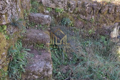 Farm i Celorico da Beira, Guarda, Celorico da Beira - € 88.000 | Ref: FIN_15 - foto 12