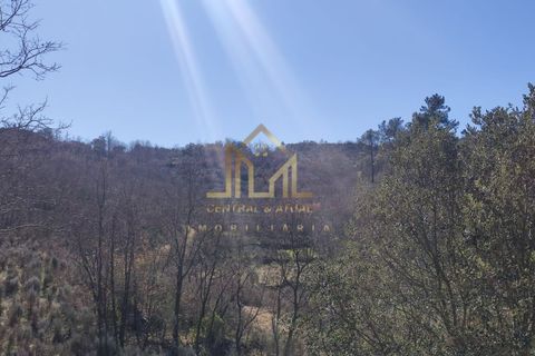 Farm i Celorico da Beira, Guarda, Celorico da Beira - € 88.000 | Ref: FIN_15 - foto 14