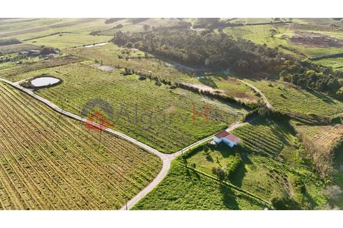 Tomt i Rogil, Faro, Rogil - € 250 000 | Ref: SÒL_367 - foto 3