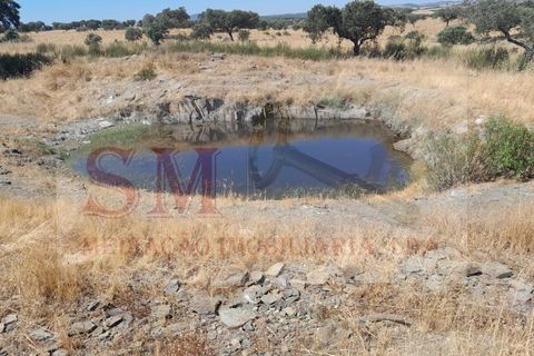Grond in Alandroal, Evora, Alandroal - € 40.000 | Ref: SML_245 - foto 1