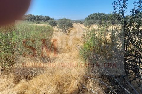 Grond in Alandroal, Evora, Alandroal - € 40.000 | Ref: SML_245 - foto 2