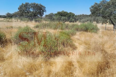 Grond in Alandroal, Evora, Alandroal - € 40.000 | Ref: SML_245 - foto 3