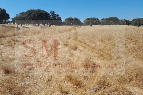 Grond in Alandroal, Evora, Alandroal - € 40.000 | Ref: SML_245 - foto 5