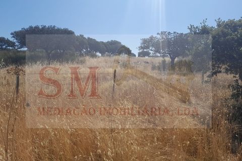 Grond in Alandroal, Evora, Alandroal - € 40.000 | Ref: SML_245 - foto 6