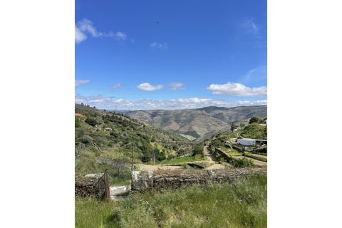 Gård i Castanheiro do Sul, Viseu, Castanheiro do Sul - € 160 000 | Ref: SAV16450 - foto 25