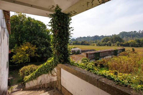 Gård i Ponte de Lima, Viana do Castelo, Ponte de Lima - € 1 700 000 | Ref: SAVPRT16008 - foto 29