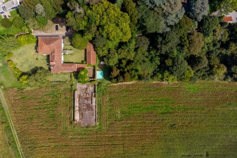 Gård i Ponte de Lima, Viana do Castelo, Ponte de Lima - € 1 700 000 | Ref: SAVPRT16008 - foto 36