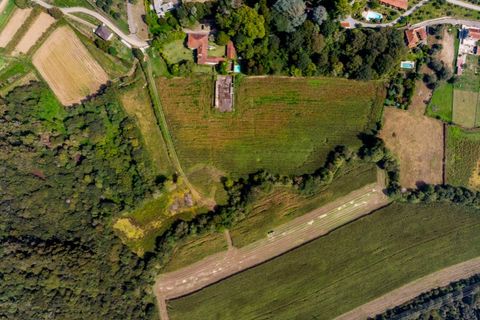 Gård i Ponte de Lima, Viana do Castelo, Ponte de Lima - € 1 700 000 | Ref: SAVPRT16008 - foto 37