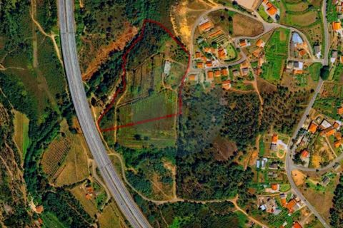 Gård i Ponte de Lima, Viana do Castelo, Ponte de Lima - € 260 000 | Ref: NH527 - foto 27