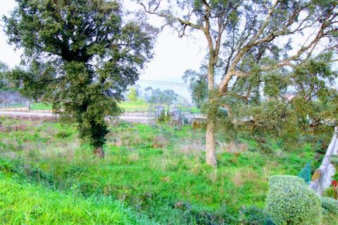 Tomt i Ponte de Lima, Viana do Castelo, Ponte de Lima - € 100 000 | Ref: NH368 - foto 6