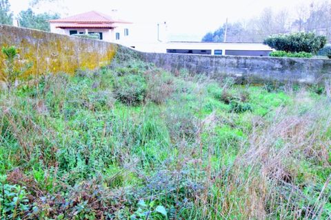 Tomt i Ponte de Lima, Viana do Castelo, Ponte de Lima - € 100 000 | Ref: NH368 - foto 7