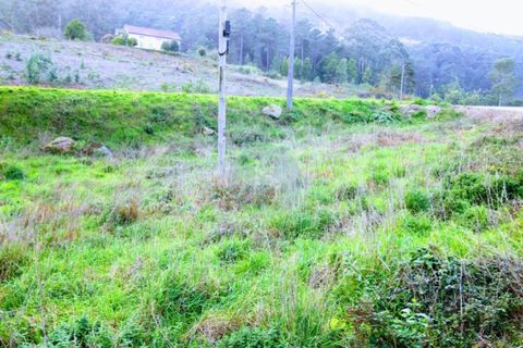 Tomt i Ponte de Lima, Viana do Castelo, Ponte de Lima - € 100 000 | Ref: NH368 - foto 8